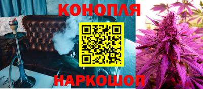 прущие крисы Будённовск