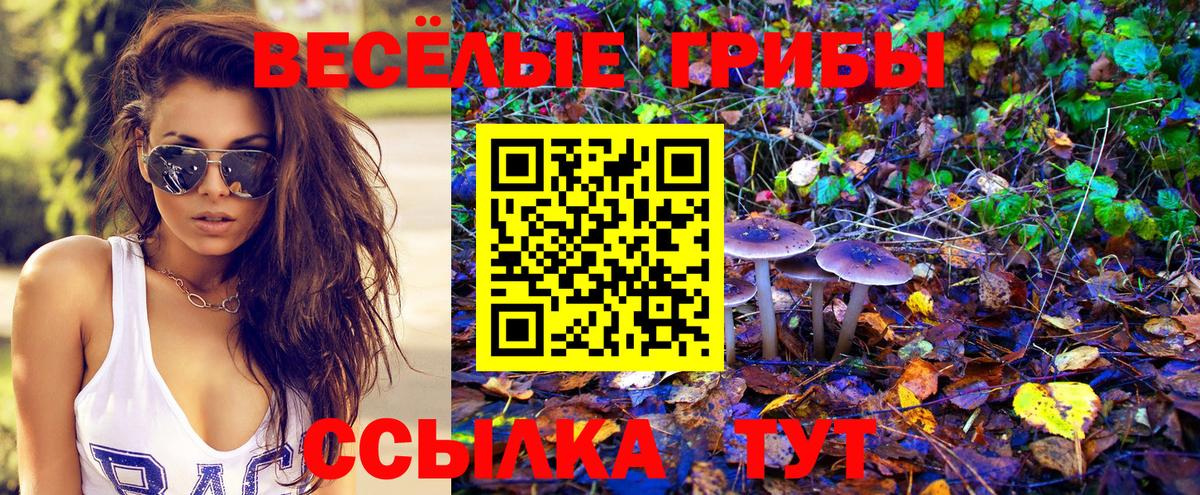Кыштым  Галлюциногенные грибы прущие грибы  Галлюциногенные грибы мухоморы  Вход с VPN 
